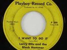 Larry Ellis & The Black Hammer 