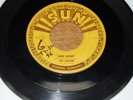 45 RECORD,  ROY ORBISON.  GO GO GO  /  OOBY DOOBY.