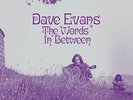 Dave Evans - The Words Inbetween Vinyl