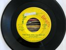 GARAGE ROCK 45 - SHADDEN AND THE KING LEARS - COME BACK WHEN YOU GROW UP - HEAR
