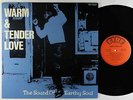 V/A - Warm & Tender Love: Sound Of Earthy Soul LP - P-Vine/Fire Japan VG++ Obi