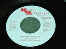 Great Lakes Band - Please Love Me Forever - Music Adventures - Youngstown LISTEN