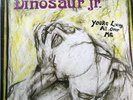 Dinosaur Jr. ?– You're Living All Over Me - SST 130 - Vinyl