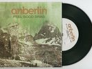 Anberlin 