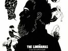 LIMINANAS, The - I've Got Trouble In Mind Volume 2: 7' & Rare Stuff 2015/2018