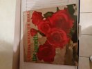 Jaynettes lp13 Sally go Round the Rose's DJ lp