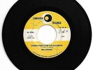 DOO WOP 45 DEL VIKINGS SOMEWHERE OVER THE RAINBOW LUNIVERSE STRONG VG ORIGINAL