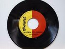 Al & The Vibrators Water More Than Flour Gee Upsetter