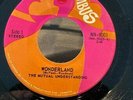 RARE CANADIAN 45 The Mutual Understanding 45 Wonderland / Pretty People NM