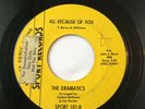 The Dramatics All Because Of You 1967 Detroit Northern Soul 45 Sport Records VG