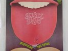 GENTLE GIANT: ACQUIRING THE TASTE