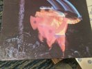 Black Sabbath Paranoid Vintage Vinyl Cover In Pretty Decent Shape