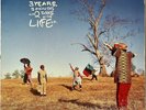 Arrested Development ?– 3 Years, 5 Months And 2 Days In The Life Of... 12” Vinyl