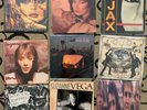 9 LP Lot, Suzanne Vega, The Dream Syndicate, Kate Bush, Green on Red, Vinyl