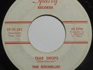 THE ROCHELLES Tear Drops/ Please Hear My Plea 45 RARE NORTHERN SOUL GIRL GROUP ?