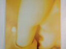 Smashing Pumpkins Pisces Iscariot 955/200 LP Vinyl 1994 +7