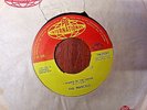 The Marcels 