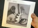 Built to spill-You in Reverse 2 LP Warner Brothers 49363-1 2006