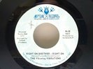 45 Soul THE VIBRATING VIBRATIONS Right on Brother  Neptune Records