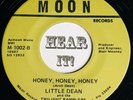 Killer FL Rockabilly 45 LITTLE DEAN & THE TWILIGHT RAMBLERS Honey MOON hear