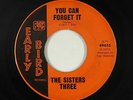 Northern Soul 45 - Sisters Three - You Can Forget It - Early Bird - mp3