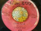 Original Northern Soul 45 Chuck Ray Come Alive / I Don't Mind Tam-Boo HEAR