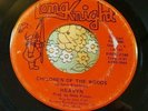Unknown Michigan Garage Psych Private 45 Heavyn Children of the Woods HEAR