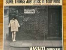 VASHTI BUNYAN SOME THINGS STICK IN YOUR MIND 2LP VINYL ALBUM FATCAT 2007 RARE
