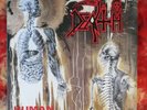 Death - Human LP 1.Press Rare 1993 Zustand:VERYGOOD  Slayer Sepultura Amorphis