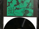 Radiohead Thom Yorke Atoms For Peace-Other Lives  Tamer Animals-Other Side Vinyl