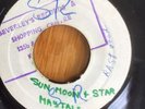 THE MAYTALS - Dr Lester/Sun Moon & Stars, Beverleys BR 122 Ja Reggae vinyl