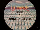 Divine / Shining Star - Native Love (Remix) / The Stranger - 12