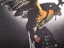 BUDGIE - In For The Kill: 1974 - Vinyl (heavyweight vinyl LP)