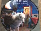 FALL OUT BOY Limted edition picture album INFINITY ON HIGH with fold out poster.