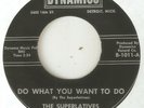 THE SUPERLATIVES Do What You Want To Do DYNAMICS DETROIT NORTHERN SOUL USA 45