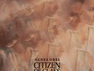 Agnes Obel - Citizen of Glass