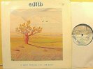 EDITH ... A Space Between - '89 Italian PRIVATE NM PROG promo LP + pic + letter