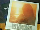 Yellowcard - Ocean Avenue Paper Walls Rare Vinyl