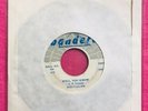 Dusty Brown - Well You Know / Please Don’t Go - Bandera #2503 Blues Original 45