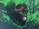 John Dwyer (Osees/Thee Oh Sees) - Witch Egg Reverse Edition LP ltd 70 SOLD OUT