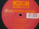 FUTURE SOUND OF HARDCORE - EUPHORIA / EDEN   VINYL DRUM N BASS JUNGLE RAVE