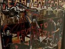 Yeah Yeah Yeahs Fever To Tell Vinyl LP