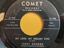 TERRY GEORGE My Love My Dreamy Eyes b/w Now And Then TEEN 45 Comet 2144 doo wop