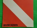 VAN HALEN Diver Down 1982 LP Original Vinyl Classic Hard Rock Heavy Metal