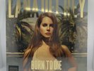 Lana Del Rey Born to Die: The Paradise Edition  sealed Slipcase with vinyl