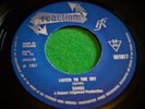 SANDS: Listen To The Sky / Mrs Gillespie's Refrigerator Garage Psych Reissue NEW