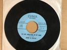 SUNNY & PHYLLIS I’ve Got Something On My Mind Vinyl 7” Single ZUMA RECORDS Z-655