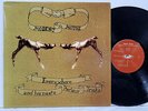 MODEST MOUSE Everywhere And His Nasty Parlour Tricks 12