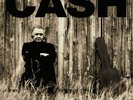 JOHNNY CASH - American II. Unchained (2014) LP