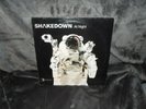 SHAKEDOWN AT NIGHT 12
